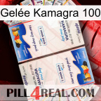 Gelée Kamagra 100 kamagra1